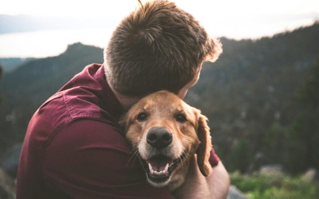 Pet Loss Counseling Certification A Path to Compassionate Grief Support
