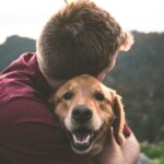 Pet Loss Counseling Certification A Path to Compassionate Grief Support