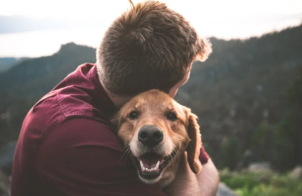 Pet Loss Grief Certification How to Build Skills to Support Grieving Pet Owners